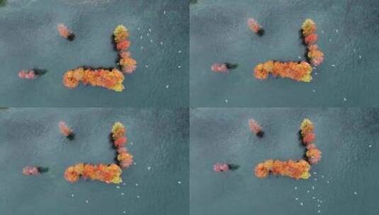 【正版4K素材】大理洱海秋景高清在线视频素材下载