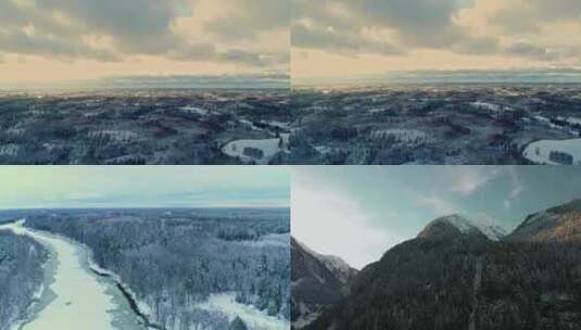冬季穿越冰雪覆盖的森林高清在线视频素材下载