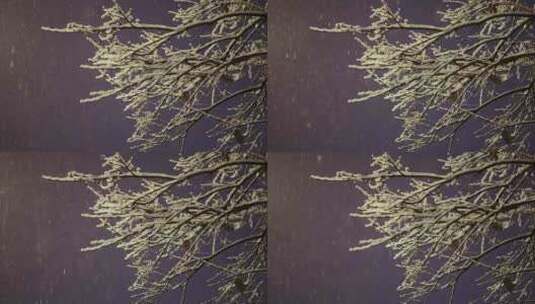 雪景唯美升格实拍高清在线视频素材下载