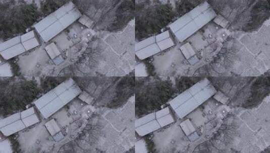 秦岭山里雪后村庄农家小院高清在线视频素材下载
