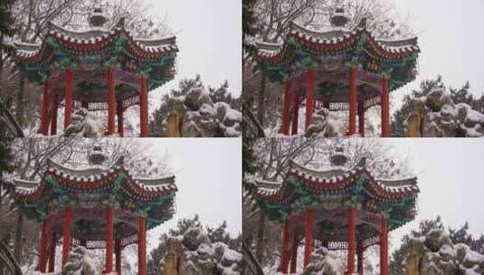 北京北海公园的自然风光高清在线视频素材下载