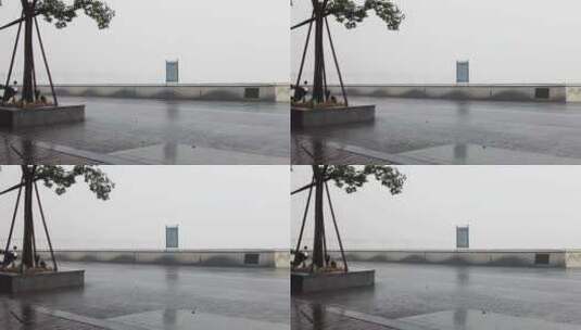 钱塘江下暴雨树枝摇晃空镜头高清在线视频素材下载