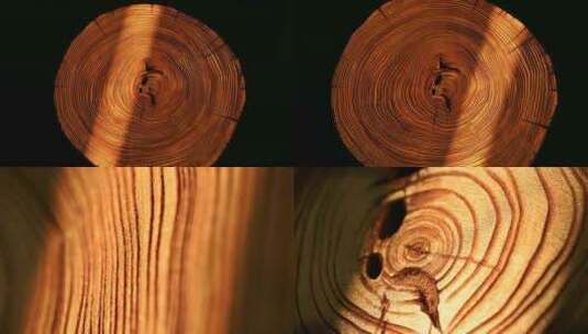 木纹年轮原木树轮高清在线视频素材下载