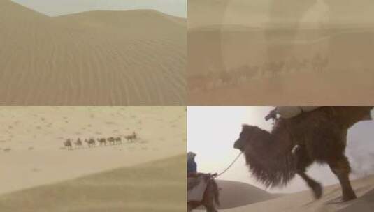沙漠里骆驼商队（片场）高清在线视频素材下载