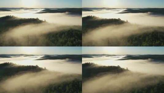  航拍森林 森林晨雾高清在线视频素材下载