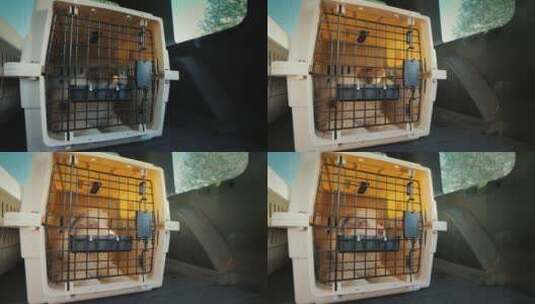 关在笼子里的小狗高清在线视频素材下载