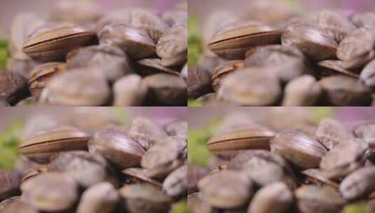 花蛤蛤蜊小海鲜花甲高清在线视频素材下载