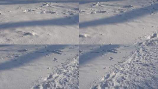 地面上的新雪高清在线视频素材下载