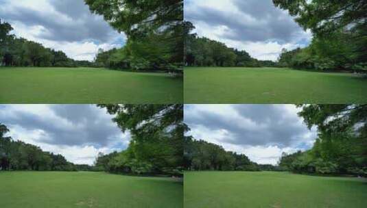 蓝天阳光草坪公园草地绿地高清在线视频素材下载