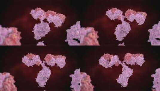 人体免疫球蛋白分子高清在线视频素材下载