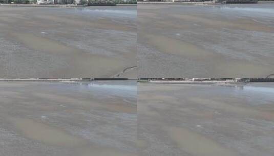 奉贤区海岸线湿地高清在线视频素材下载