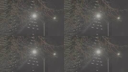 疫情武汉封城 透过树枝 写字楼亮灯 雪 夜景高清在线视频素材下载
