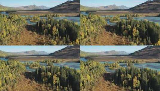 新疆喀纳斯秋天农场风光高清在线视频素材下载