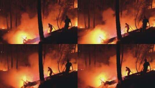 森林里的火高清在线视频素材下载