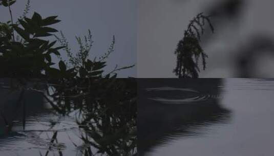 河流树叶空镜素材高清在线视频素材下载