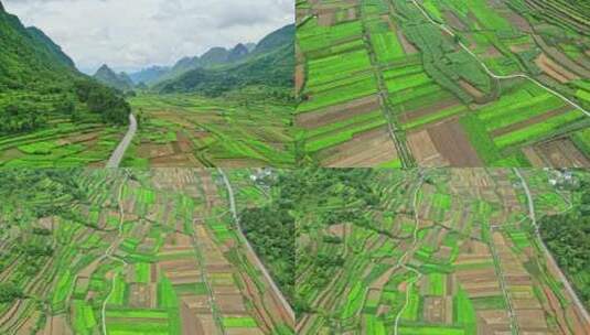 山里的地 青山 绿水 振兴乡村高清在线视频素材下载
