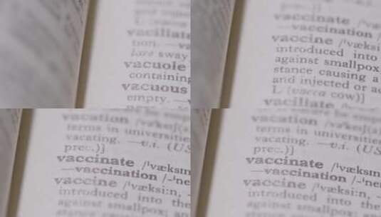 词典上关于疫苗的释义高清在线视频素材下载