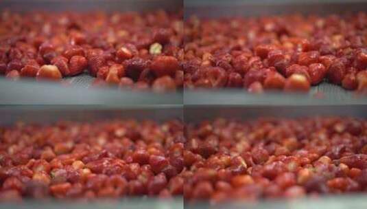 食品加工草莓冻干加工工厂高清在线视频素材下载