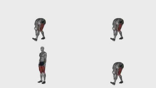 跑步者伸展健身运动锻炼动画3D演示高清在线视频素材下载