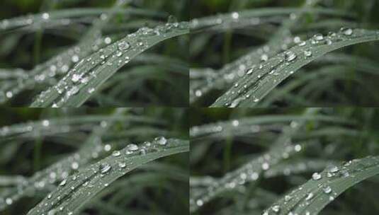 雨水惊蛰谷雨立春意境屋檐雨滴滴水中式高清在线视频素材下载