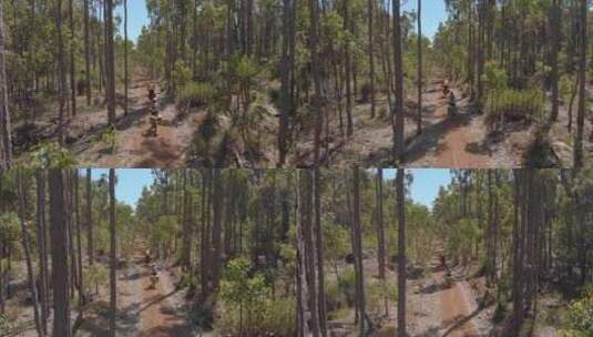 自行车穿越西澳大利亚丛林Munda Biddi Trail空中无人机射击高清在线视频素材下载