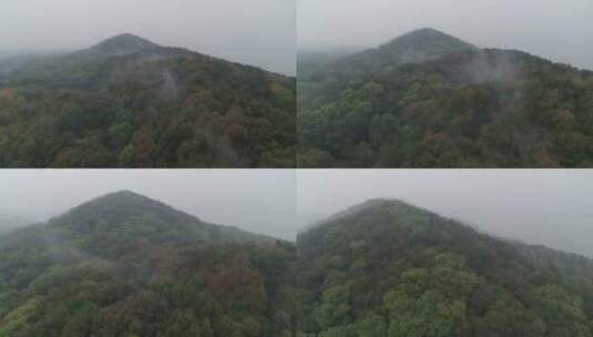 航拍武汉东湖磨山清晨雾气高清在线视频素材下载