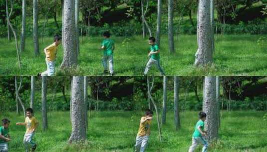 两个小孩在树林里追逐打闹 快乐的童年高清在线视频素材下载