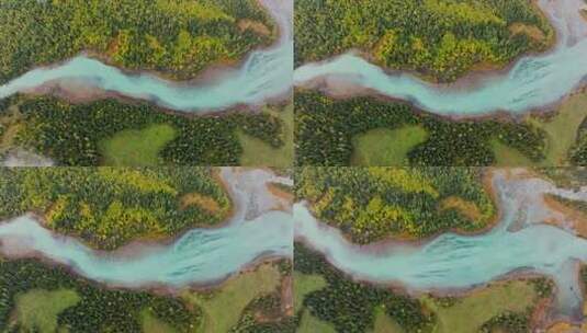 航拍秋天的喀纳斯河高清在线视频素材下载
