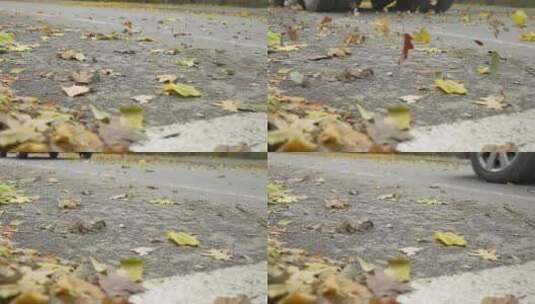 落叶飘落高清在线视频素材下载