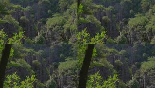 湖北恩施梭布垭石林景区自然风景喀斯特地貌高清在线视频素材下载