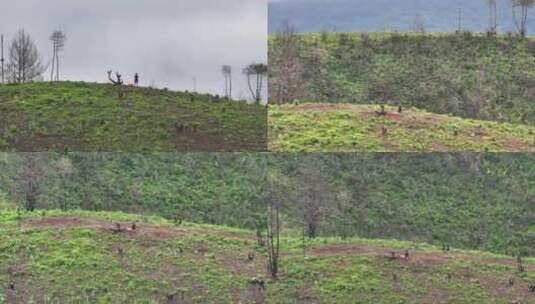 腾冲火山高清在线视频素材下载