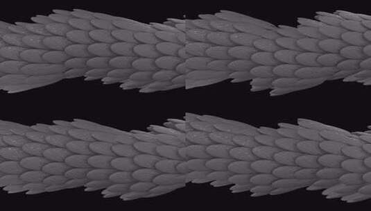 水平3D管由银色羽毛在黑色背景上发光和流高清在线视频素材下载