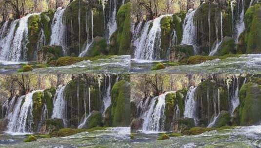 九寨沟箭竹海瀑布水中青苔流水岩石秋天水景高清在线视频素材下载