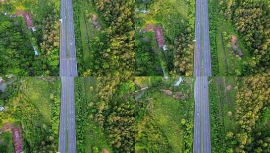 城市鸟瞰图，公路旁林立的高楼与绿植高清在线视频素材下载