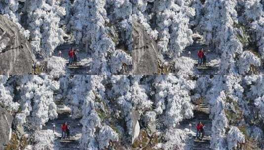 湖南衡阳南岳衡山祝融峰雾凇航拍高清在线视频素材下载