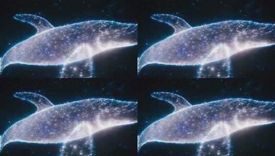 粒子特效星空鲸鱼画面高清在线视频素材下载
