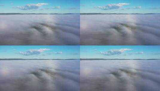 航拍视频 森林晨雾高清在线视频素材下载