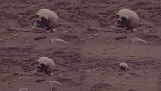 人类骨骼遗骸高清在线视频素材下载