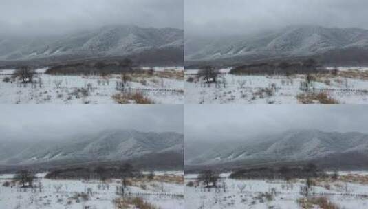 航拍湖北神农架大九湖冬季冰雪风光雪景高清在线视频素材下载