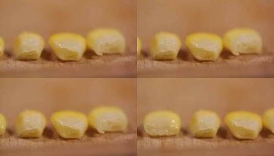 剥下的玉米粒玉米胚芽高清在线视频素材下载