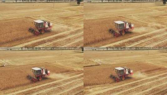 小麦丰收航拍高清在线视频素材下载