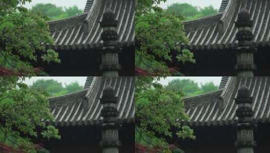 107 杭州 寺庙 古建筑 下雨天 屋檐 树枝高清在线视频素材下载