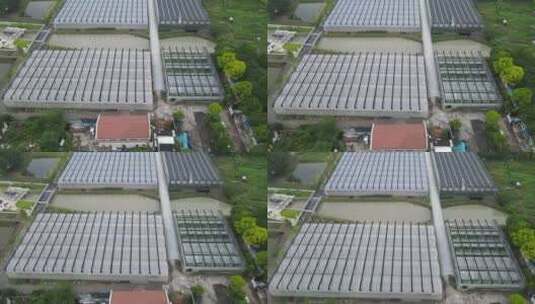 航拍上海村农大棚农业生产4K航拍原素材高清在线视频素材下载