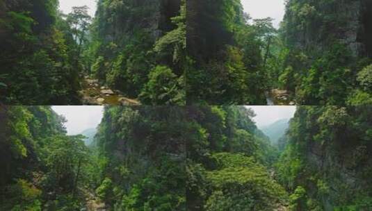 广西上林大明山森林穿山航拍高清在线视频素材下载