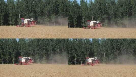 农业现代化机械小麦收割机高清在线视频素材下载