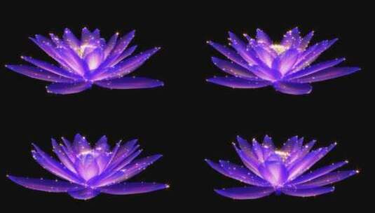 紫色莲花旋转循环高清在线视频素材下载