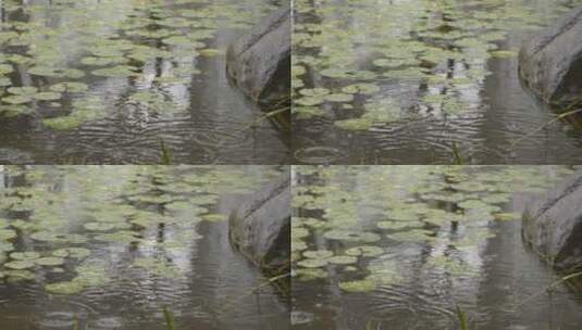 上海公园里的水池高清在线视频素材下载