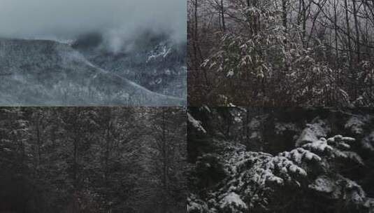 森林雪景降雪下雪升格镜头高清在线视频素材下载