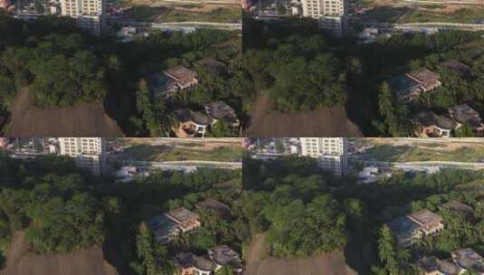 航拍深圳市政绿化高清在线视频素材下载