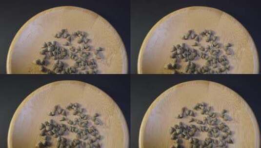 福寿花种子四季鲜花种子园丁花园植物高清在线视频素材下载